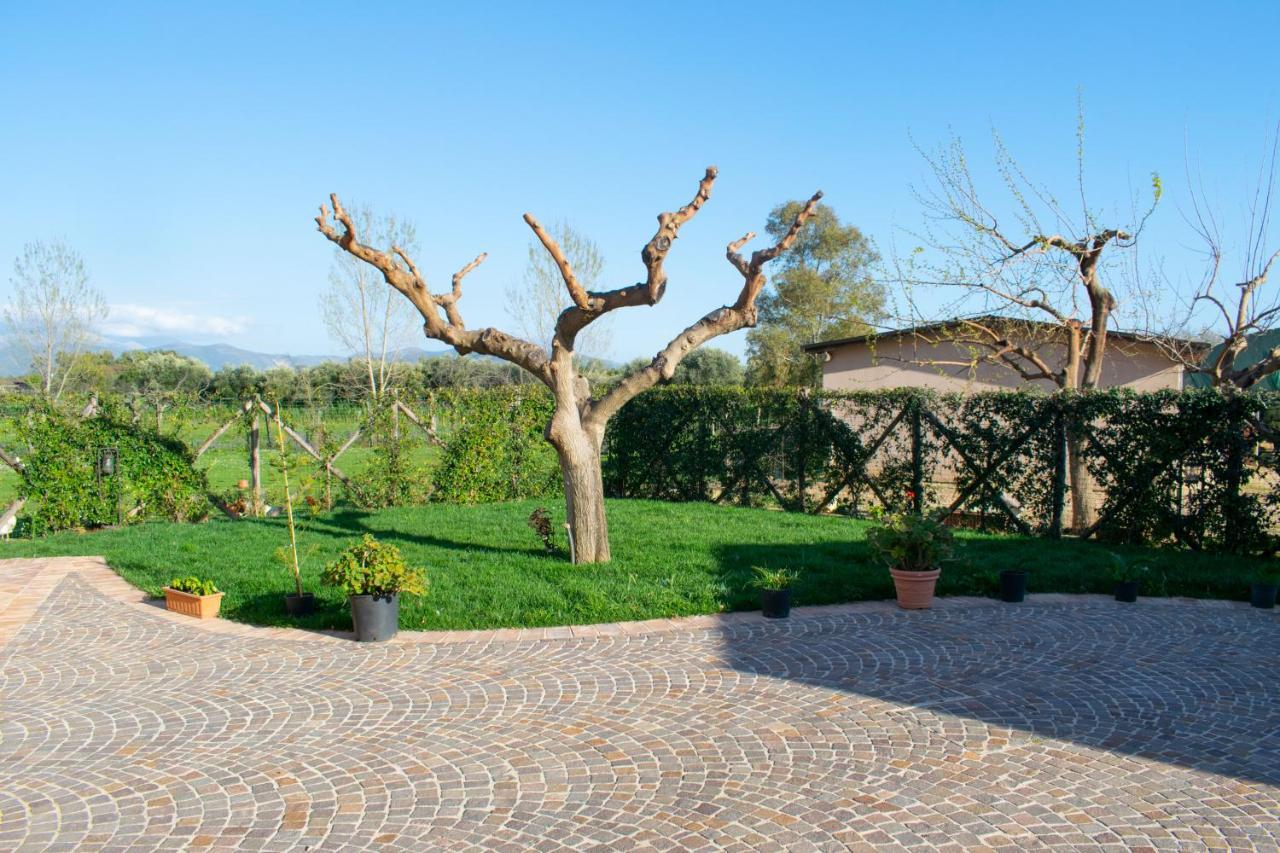 Camera Iris - B&B Antico Casale Monte San Biagio Exteriör bild
