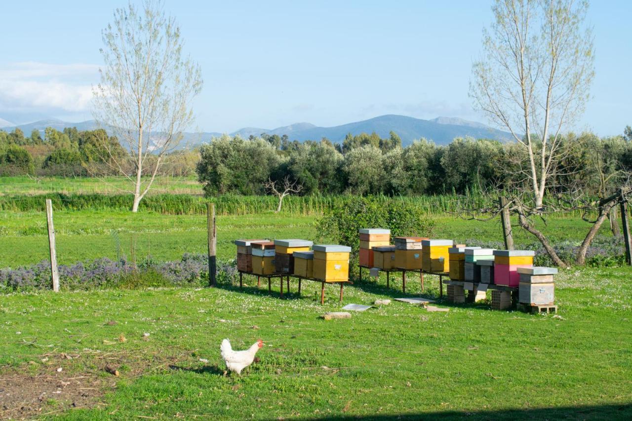 Camera Iris - B&B Antico Casale Monte San Biagio Exteriör bild